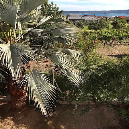 Mediterrianen Paradise