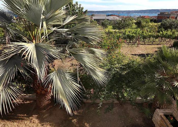 Mediterrianen Paradise